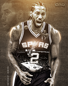 曼联将B费 曼联将B费