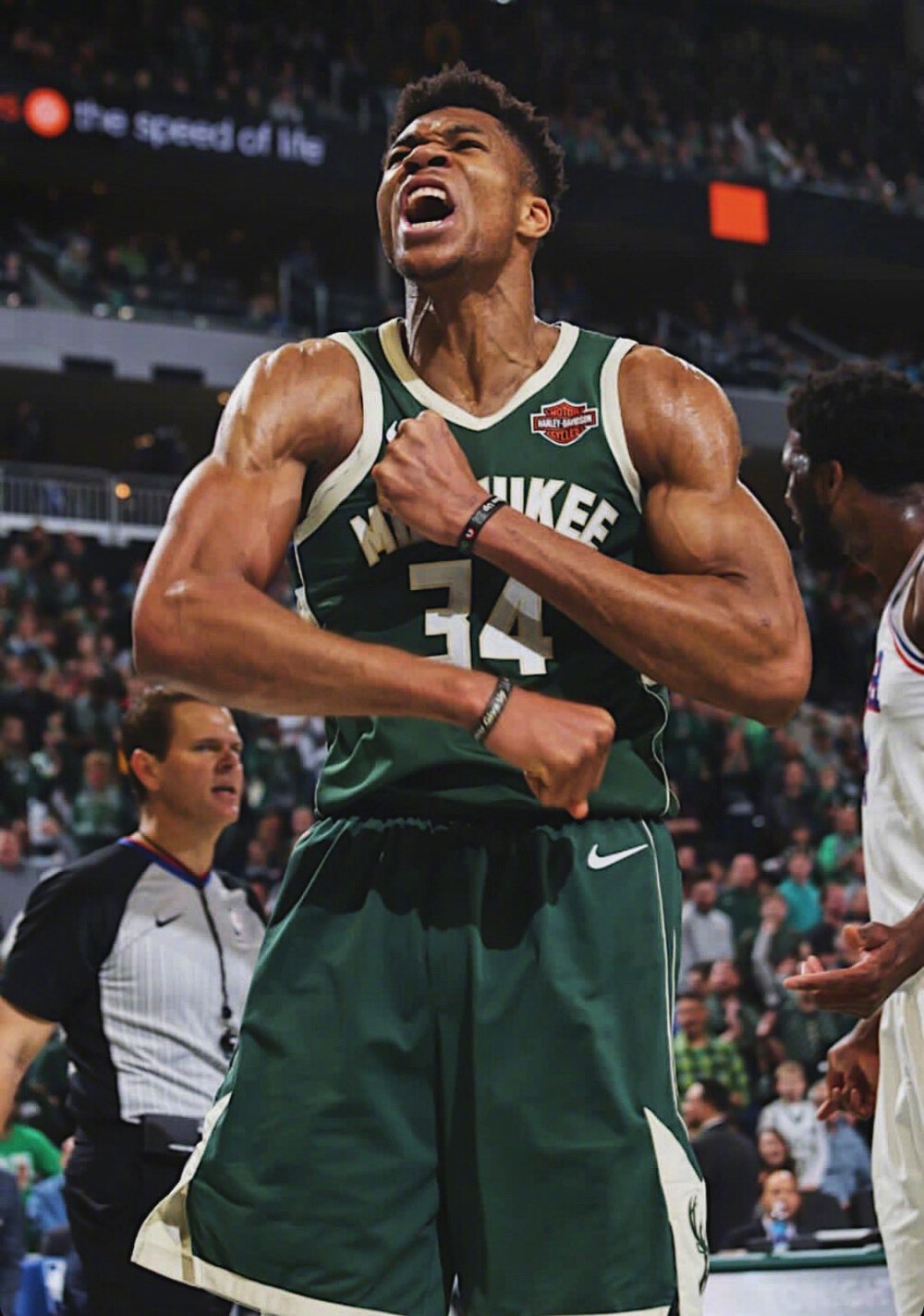 里皮提供方 里皮提供方